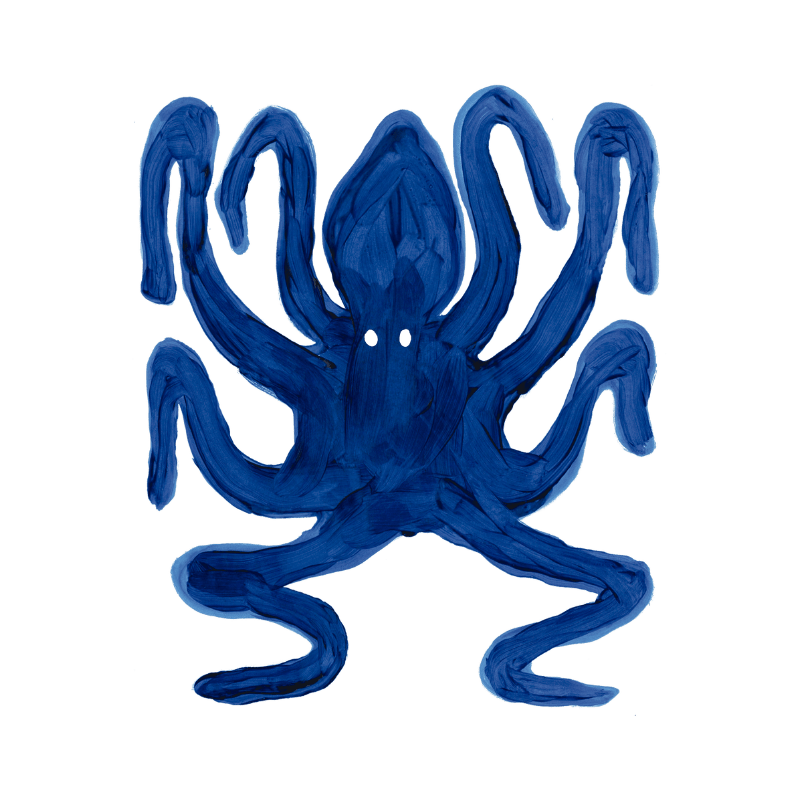 라 파라데타 사진 5